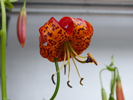 Foto: Dr. Peter Müller